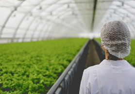 Разработка оборудования для сельского хозяйства